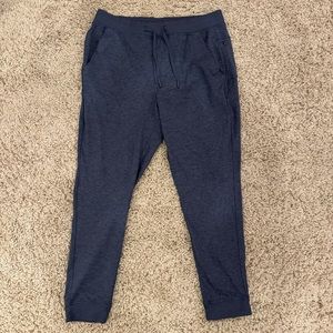 Birddogs Sweatpants / Joggers - Mohandyman Gandhis (unlined)
